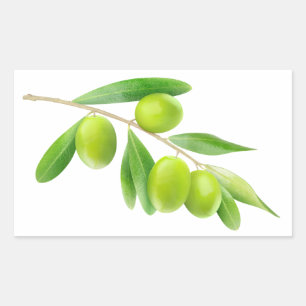 Green olives branch rectangular sticker