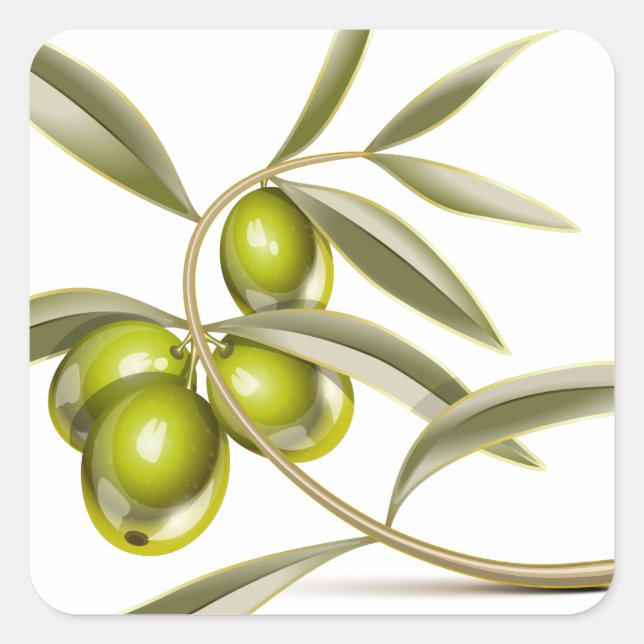 Green olives branch square sticker (Front)