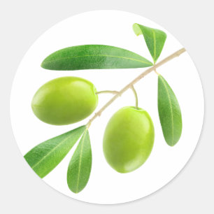 Green olives on a branch classic round sticker