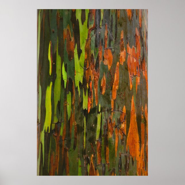 Green, orange, and black abstract painting poster (Front)