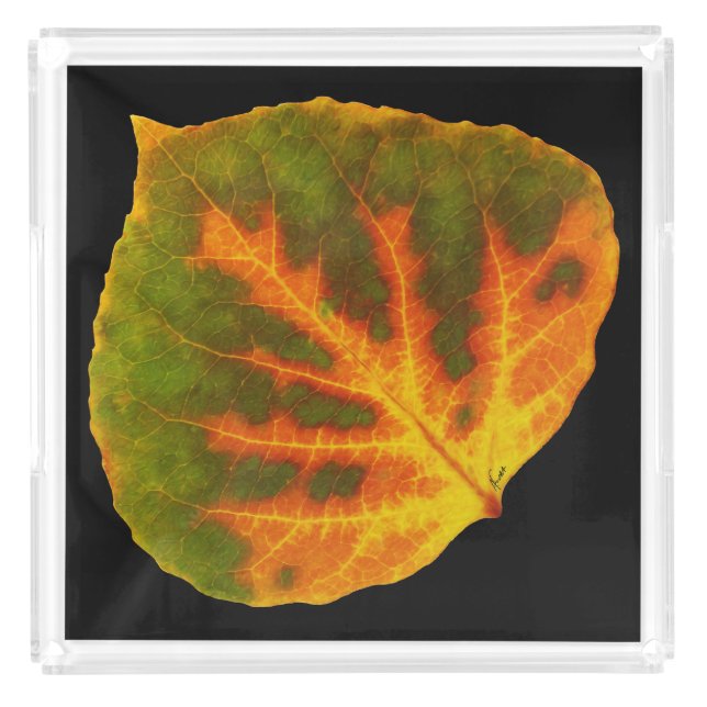 Green Orange & Yellow Aspen Leaf #1 Acrylic Tray (Front)