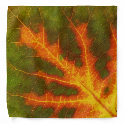 Green Orange  Yellow Aspen Leaf 1 Bandana