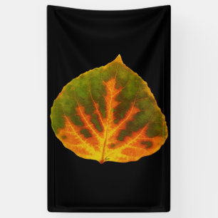 Green Orange & Yellow Aspen Leaf #1 Banner