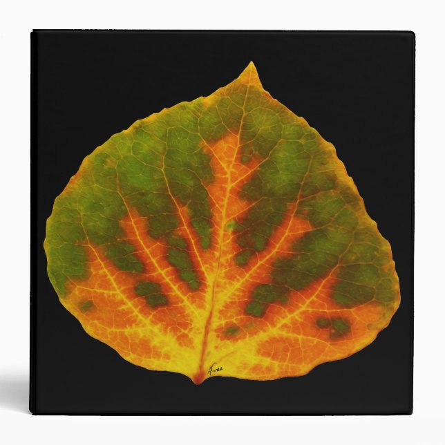 Green Orange & Yellow Aspen Leaf #1 Binder (Front)