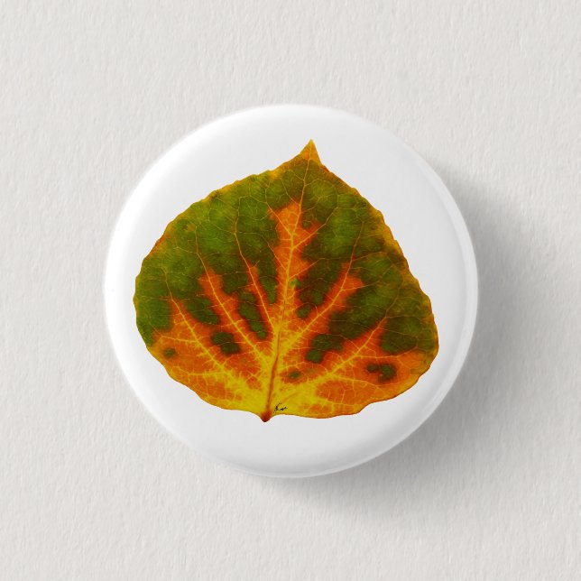 Green Orange & Yellow Aspen Leaf #1 Button (Front)