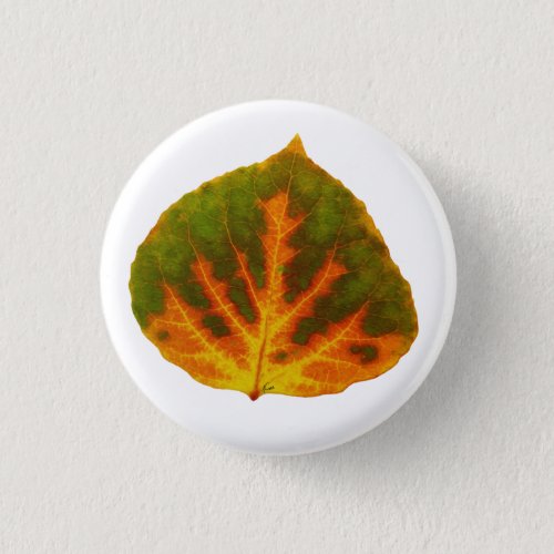 Green Orange  Yellow Aspen Leaf 1 Button