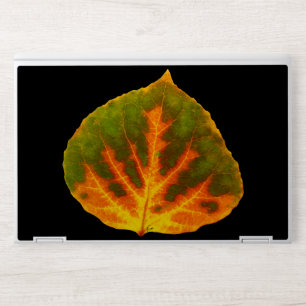Green Orange & Yellow Aspen Leaf #1 HP Laptop Skin