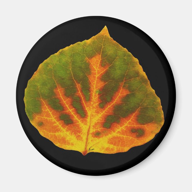 Green Orange & Yellow Aspen Leaf #1 Magnet (Front)