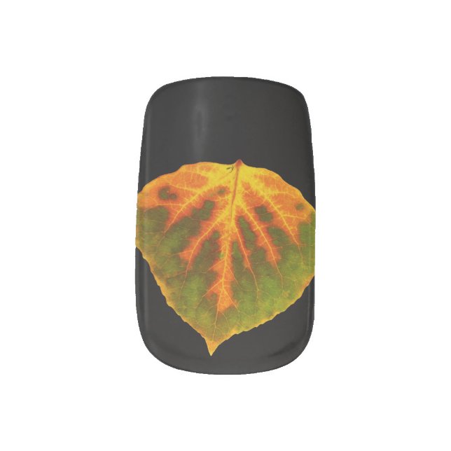 Green Orange & Yellow Aspen Leaf #1 Minx Nail Wraps (Left Thumb)