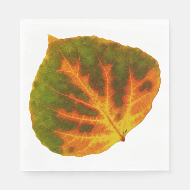 Green Orange & Yellow Aspen Leaf #1 Paper Napkins (Front)
