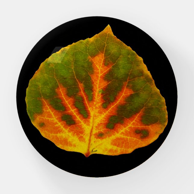 Green Orange & Yellow Aspen Leaf #1 Paperweight (Front)