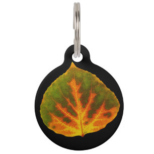 Green Orange & Yellow Aspen Leaf #1 Pet Name Tag