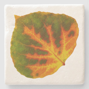 Green Orange & Yellow Aspen Leaf #1 Stone Coaster