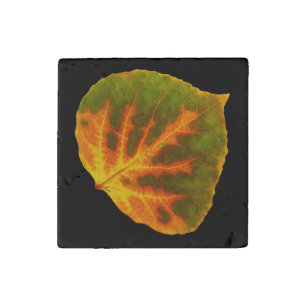 Green Orange & Yellow Aspen Leaf #1 Stone Magnet