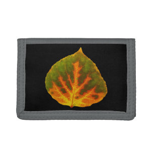 Green Orange & Yellow Aspen Leaf #1 Trifold Wallet