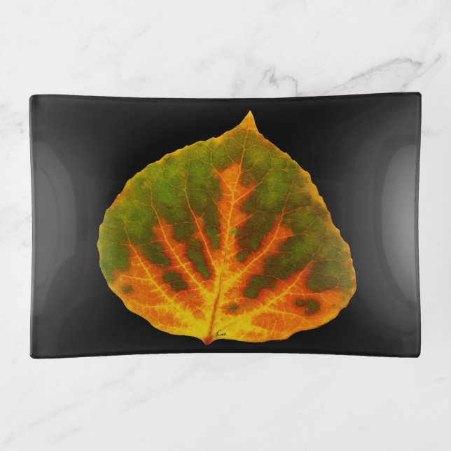 Green Orange & Yellow Aspen Leaf #1 Trinket Tray (Front)