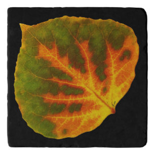 Green Orange & Yellow Aspen Leaf #1 Trivet