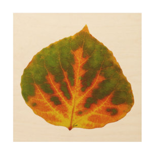 Green Orange & Yellow Aspen Leaf #1 Wood Wall Art