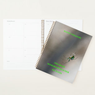 Green Orb Weaver Spider On Web School Classroom Planner