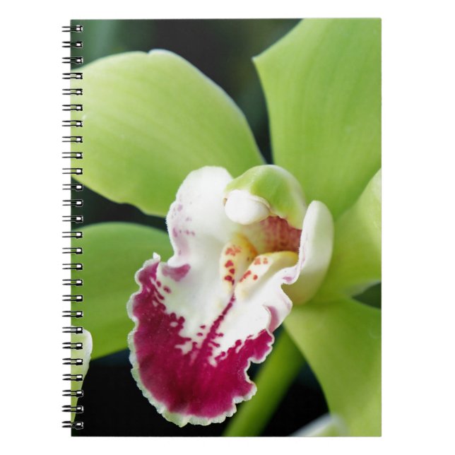 Green Orchid Notebook (Front)