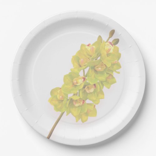 Green Orchid Paper Plates