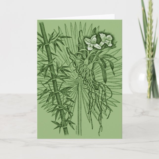 Green Orchids Card (Front)