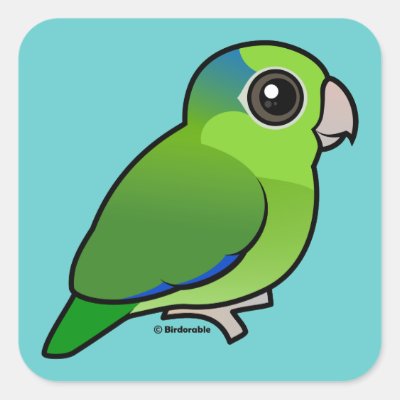 Green Pacific Parrotlet Square Sticker