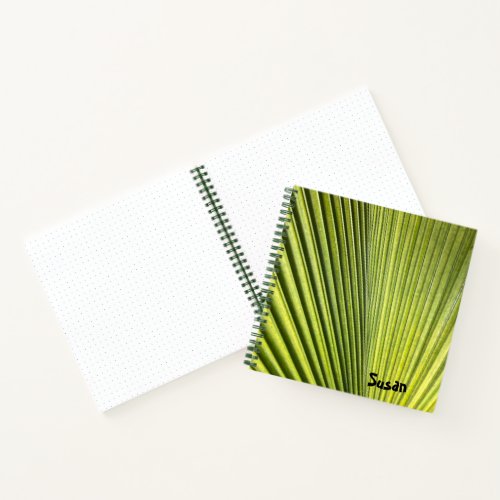 Green Palm Frond sketchbook journal