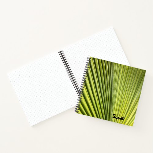 Green Palm Frond sketchbook journal