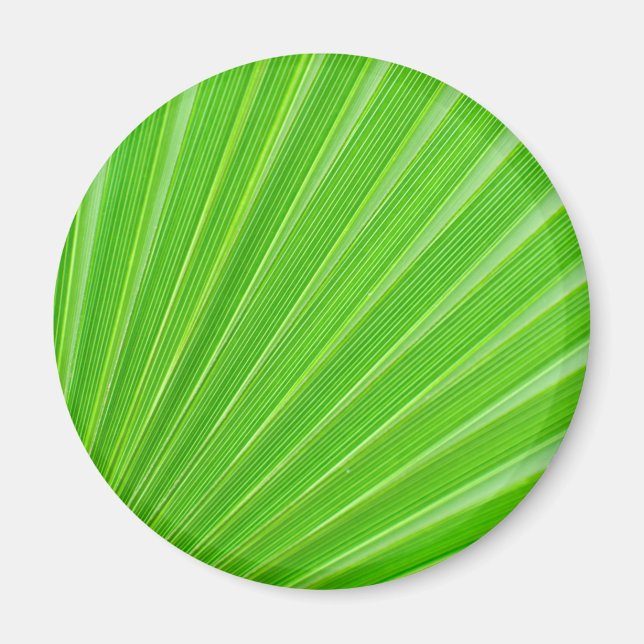 Green palm leaf background magnet (Front)