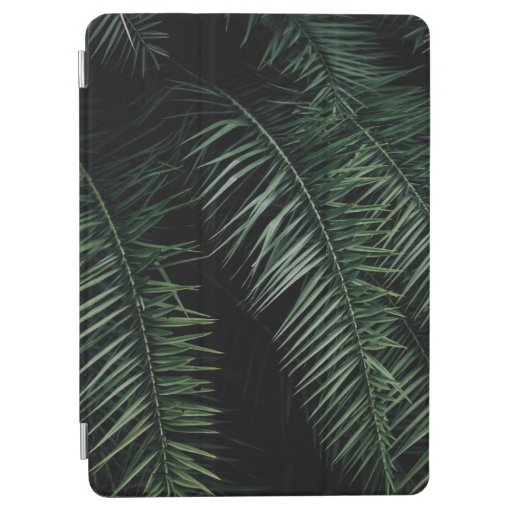 GREEN PALM PLANT DURING NIGHT TIME iPad AIR COVER