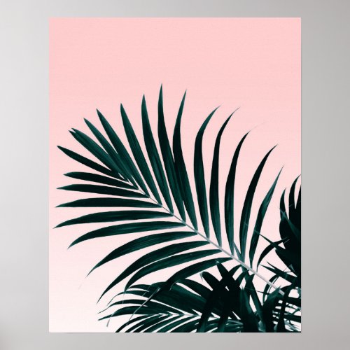 Green palm tree leaf blush pink gradient photo poster