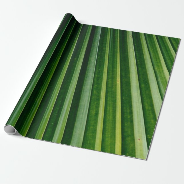 Green palm tree leaves wrapping paper (Unrolled)