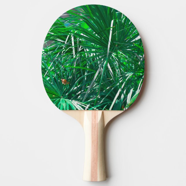 Green palm tree plant leaves pastel ping pong paddle (Front)