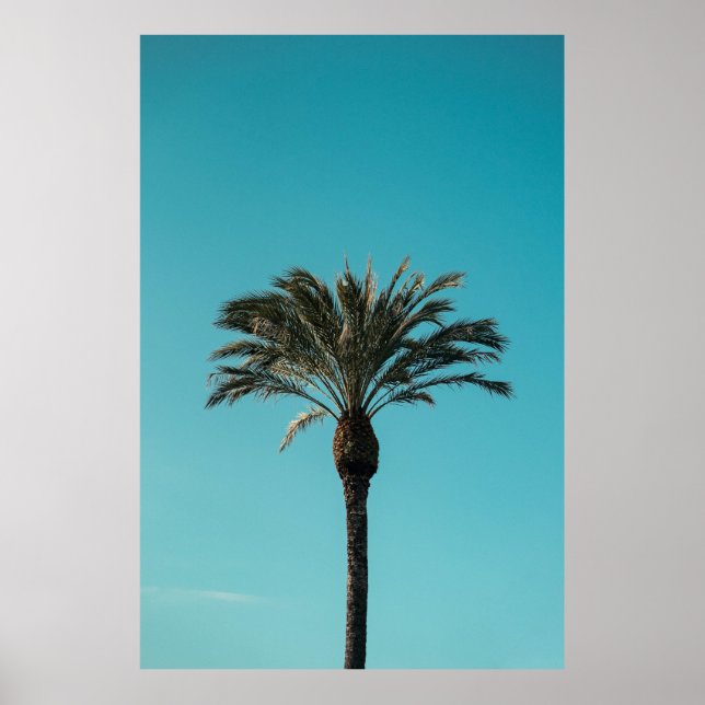 Green palm tree poster (Front)