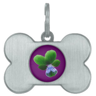 Green Pansy Pet Tag