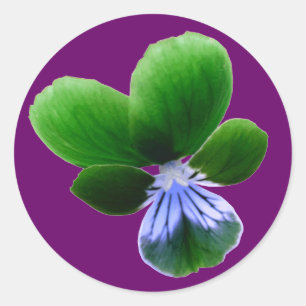 Green Pansy Sticker
