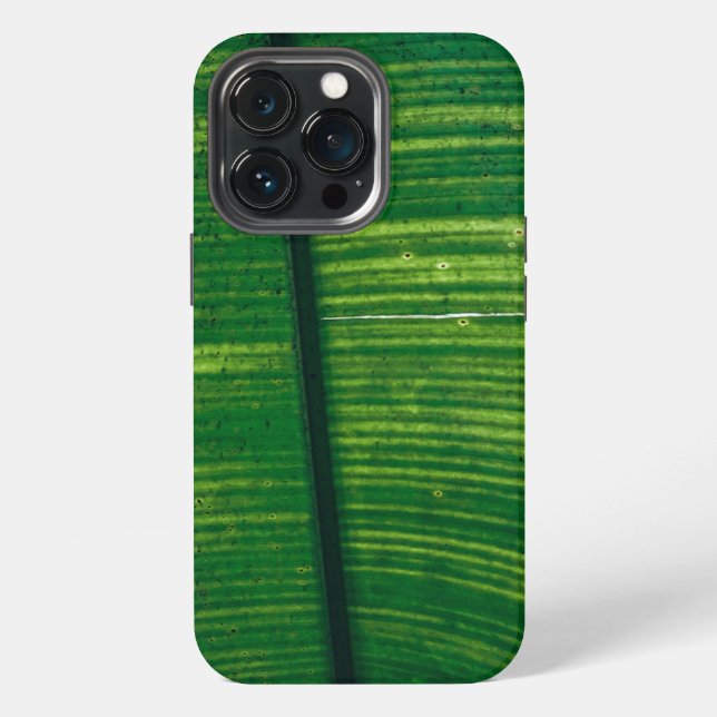 Green paper with details from Costa Rica iPhone Case (Back)