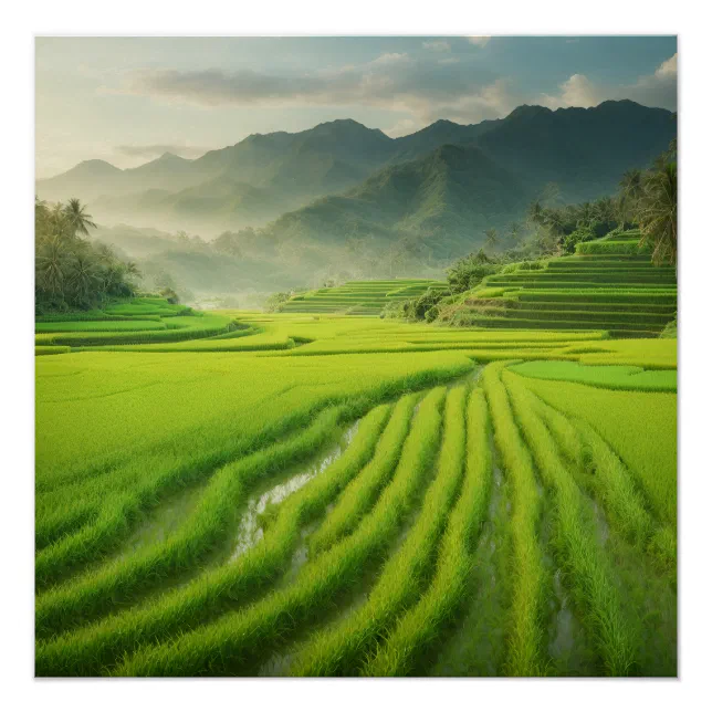 Green Paradise: A Stunning View of Rice Terraces Poster | Zazzle