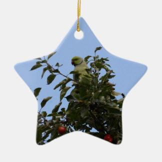 Green Parakeet Ceramic Ornament