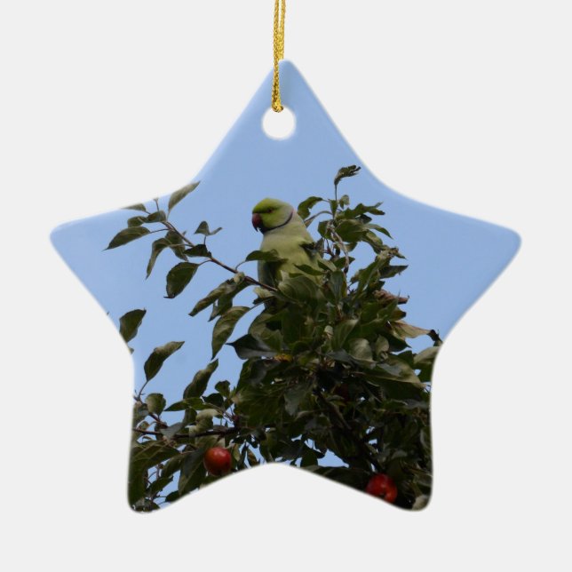 Green Parakeet Ceramic Ornament (Front)
