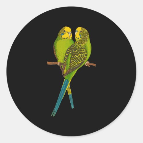 Green Parakeet Parakeets Budgie Bird Classic Round Sticker