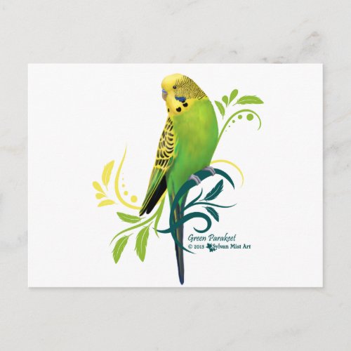 Green Parakeet Postcard