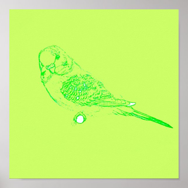 Green Parakeet Poster (Front)