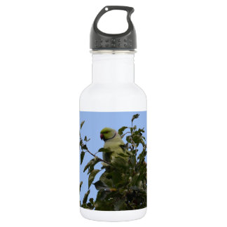 Green Parakeet Stainless Steel Water Bottle