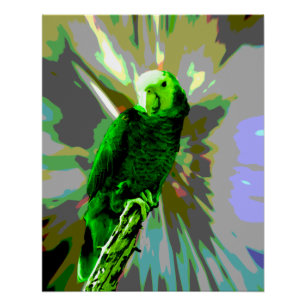 Green Parrot 6537 Poster