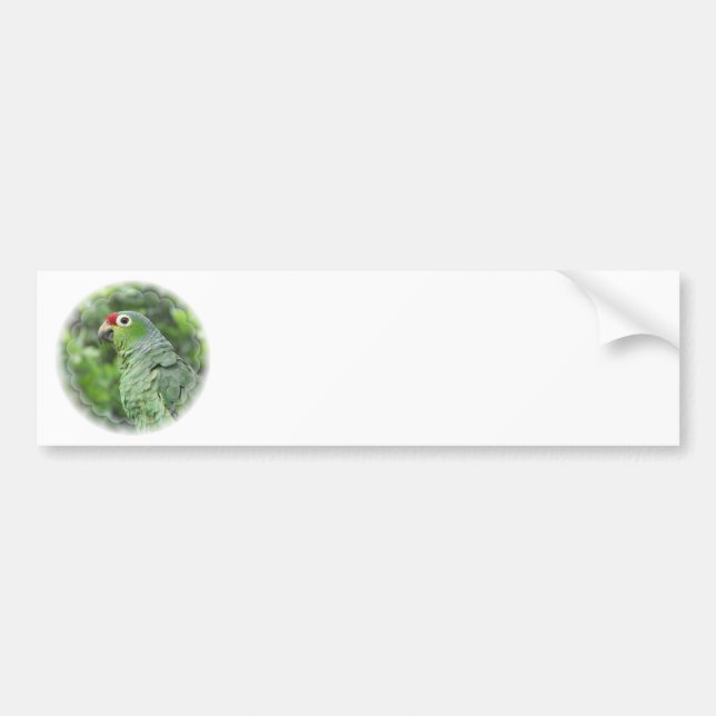 Green Parrot Bumper Sticker (Front)
