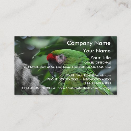 Green Parrot - business card template