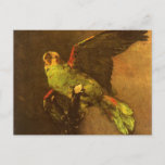 Green Parrot by Vincent van Gogh, Vintage Fine Art Postcard<br><div class="desc">The Green Parrot (1886) by Vincent van Gogh is a vintage Post Impressionism fine art still life painting. A dead bird that has been stuffed with its wings outstretched as if in flight. A beloved pet bird brought back to life through taxidermy. About the artist: Vincent Willem van Gogh was...</div>