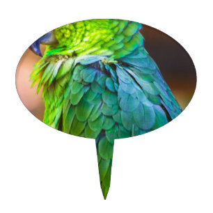 Green Parrot Cake Topper
